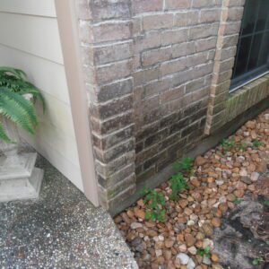 Before - Brick Cleaning
