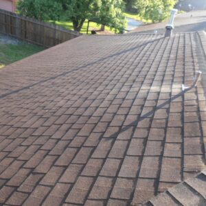 Before - Roof Cleaning
