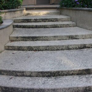 Before - Entry Stairs